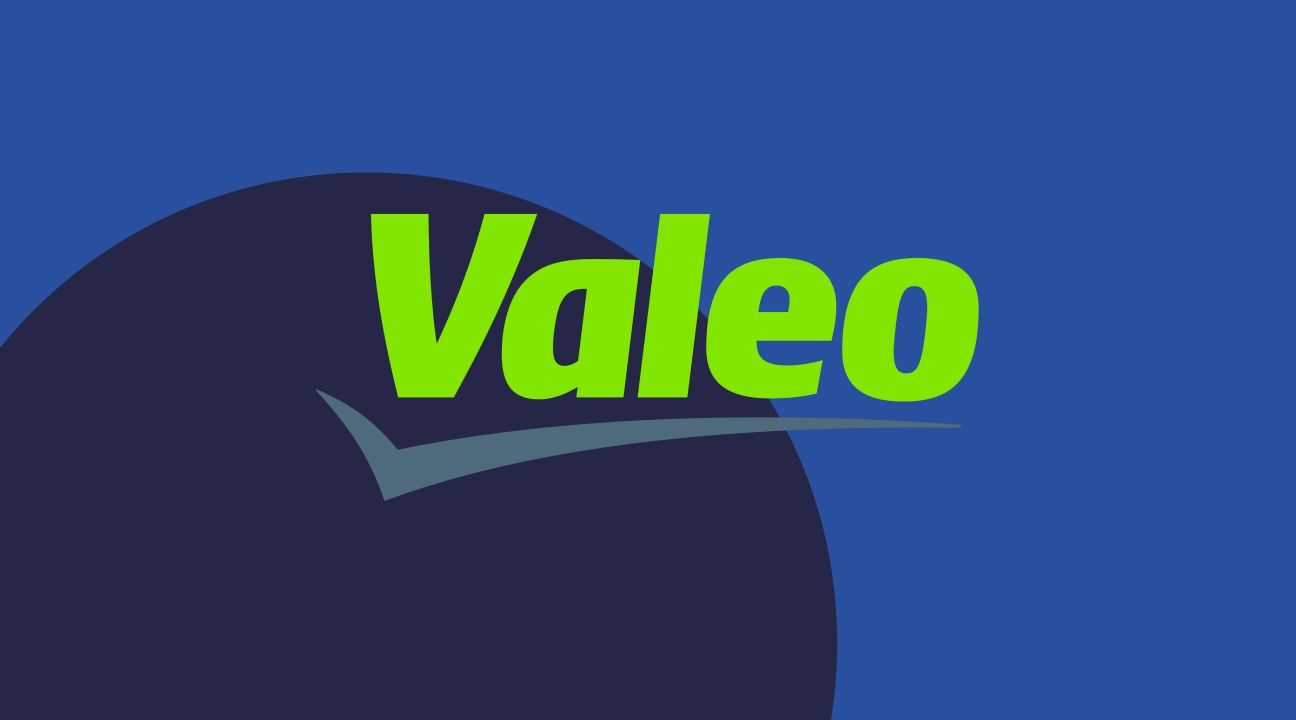 Программа VALEO